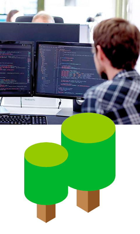 003